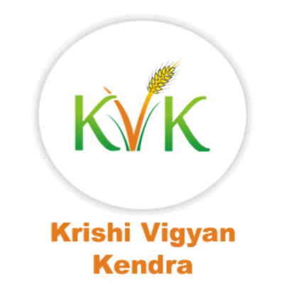 BSKKV