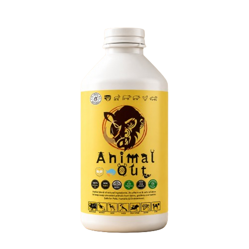 Animal Out