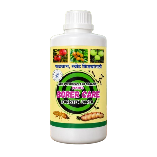 Borer Care